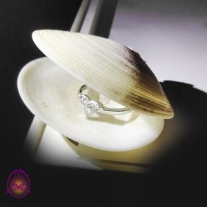 White shell jewelry holder